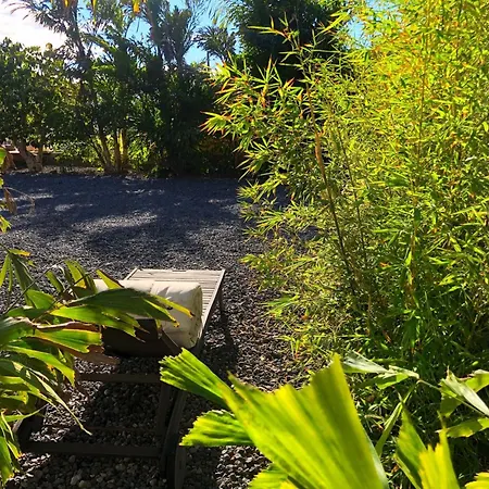 Bioklimatisches Haus Auf Teneriffa - - Entspannung By Interhome *