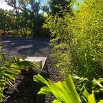 Bioklimatisches Haus Auf Teneriffa - - Entspannung By Interhome *